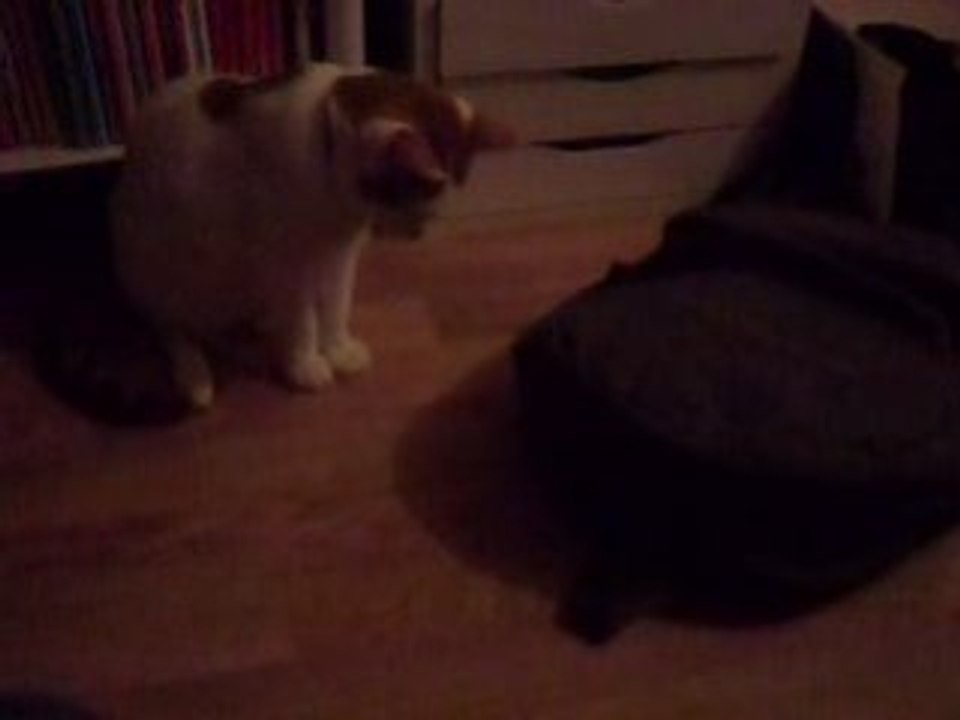 La patte tueuse