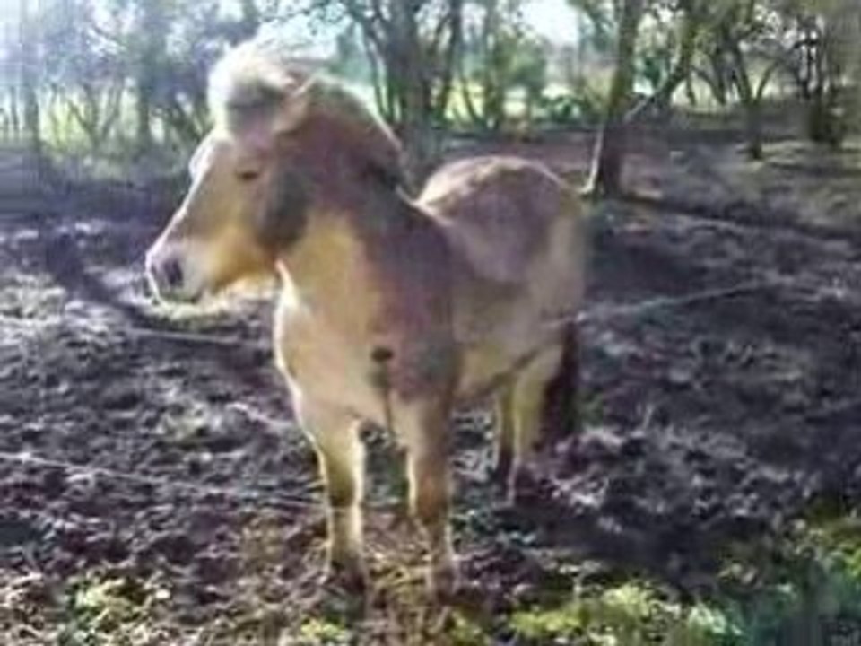 IMGP1093