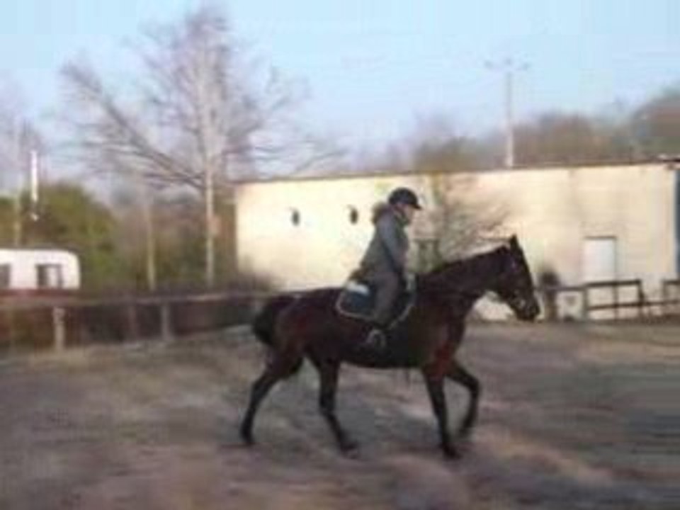 New au galop a gauche