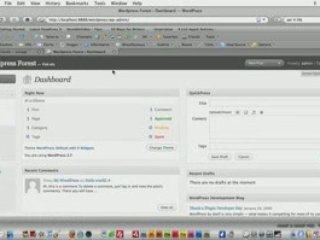 Day 2: Understanding the Admin Panel and Template Files