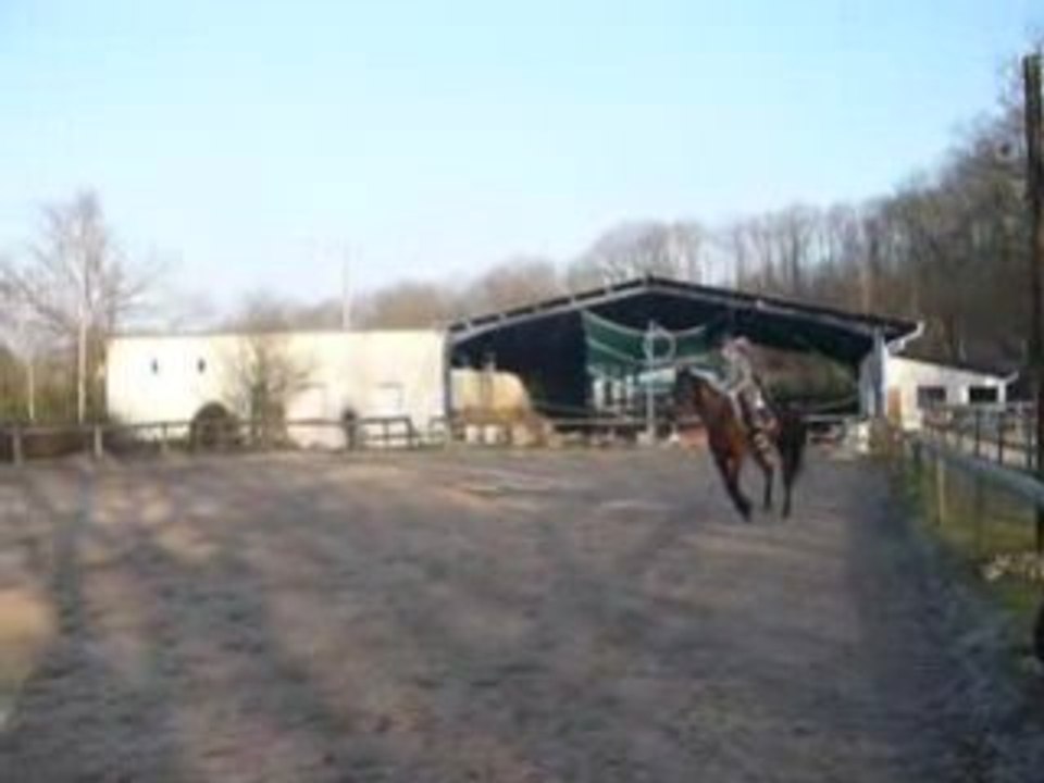 New au galop a droite 2