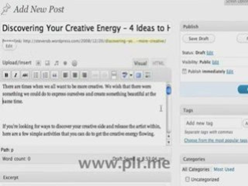Using PLR Articles in Wordpress 2.7