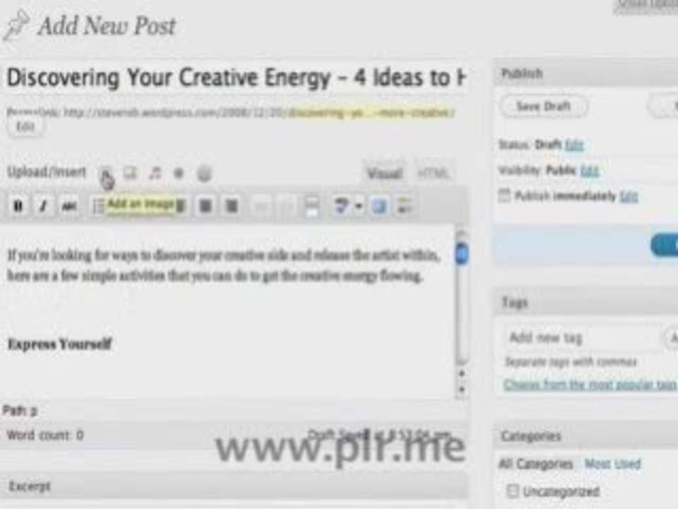How to Upload PLR Articles onto a Wordpress Blog