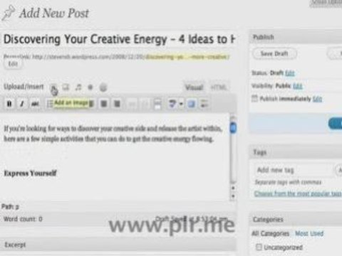 How to Upload PLR Articles onto a Wordpress Blog