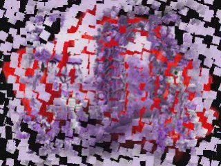 Katarzyna Sobczyk, Maly ksiaze