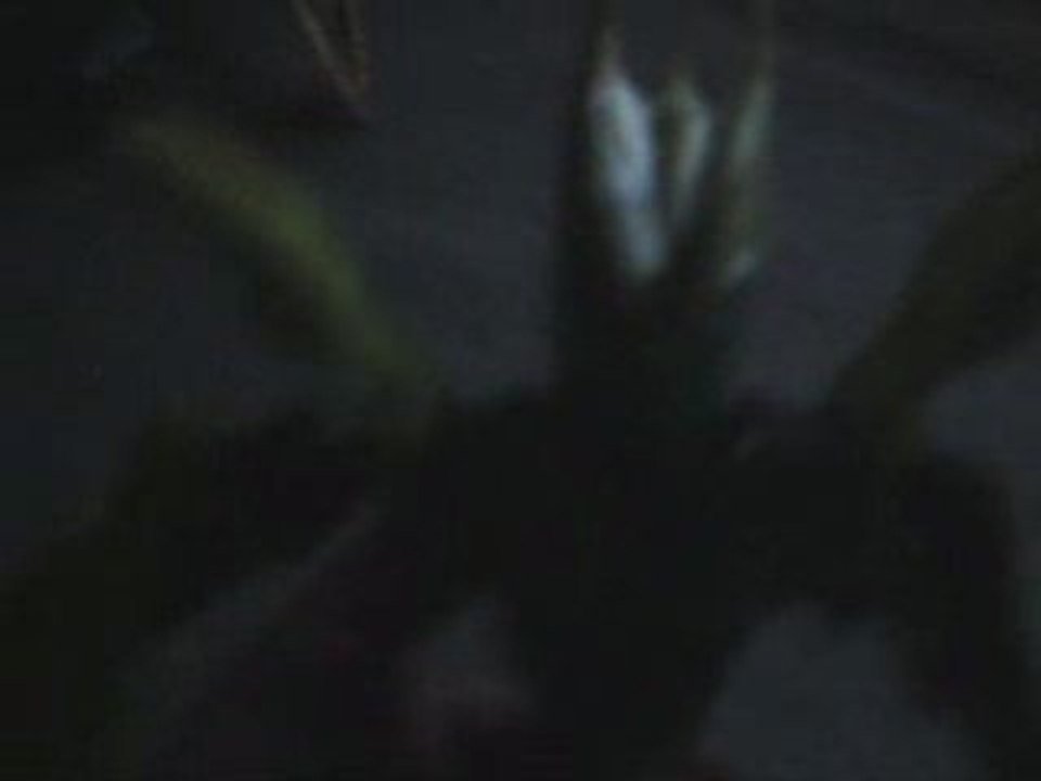 Bionicle aventure des inika 2