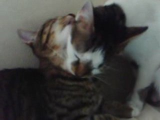 Titi & Mimi