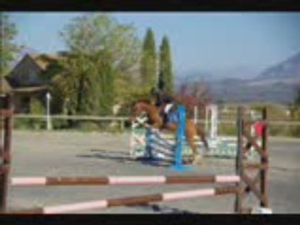 L'équitation