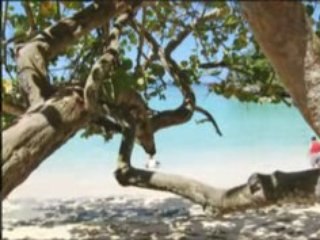 Dominican Real Estate Blog, Report, News, Home Review