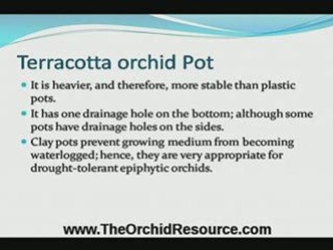Learn What Kinds Of Orchid Pots To Use For Orchids