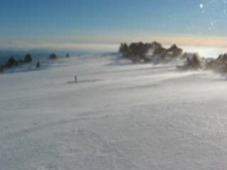 Mont Aigoual - 28-01-2009