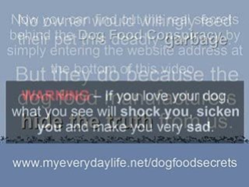 All Natural Dog Food? Homemade Dog Food is Better. See Why.