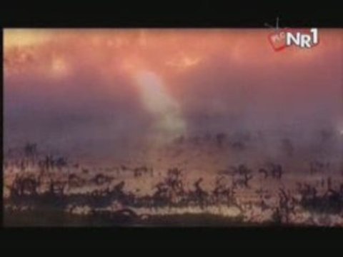 Melike Demirag - Duyun Beni 2009 ORJINAL VIDEO KLIP