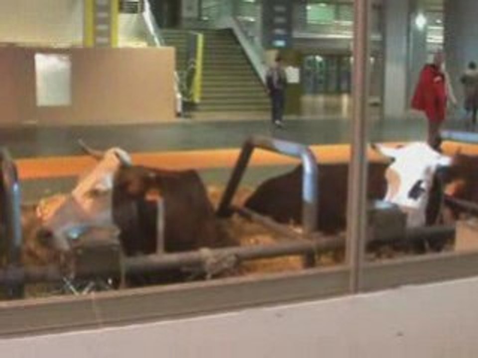Salon agriculture tonimi no 07