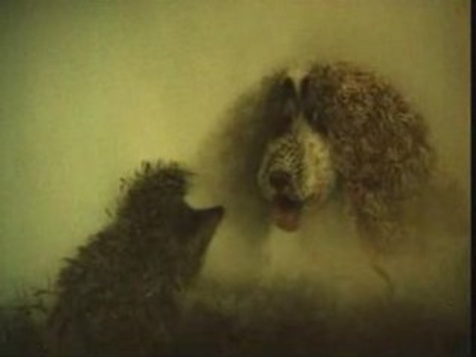 Ежик в тумане