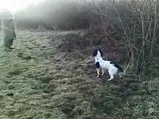 Clea des etangs de dame blanche