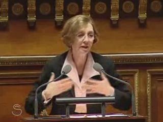 PLFR pour 2009 - discussion générale