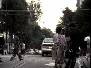 Paramparca Aşklar ve Köpekler