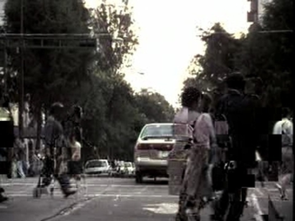 Paramparca Aşklar ve Köpekler