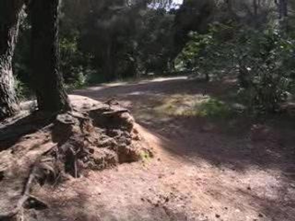 dirt effet