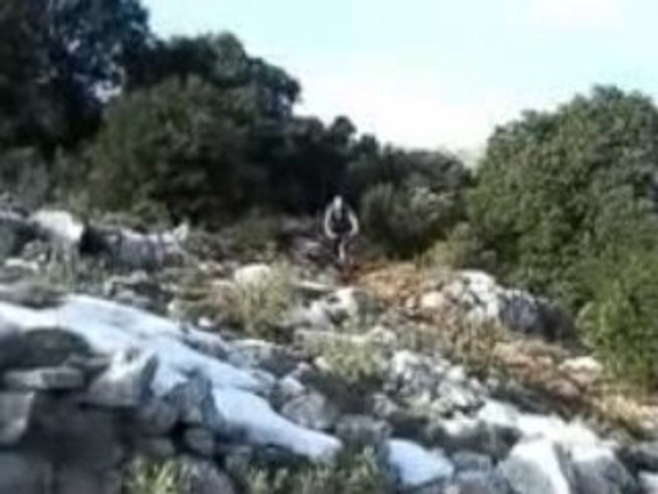 Training baou