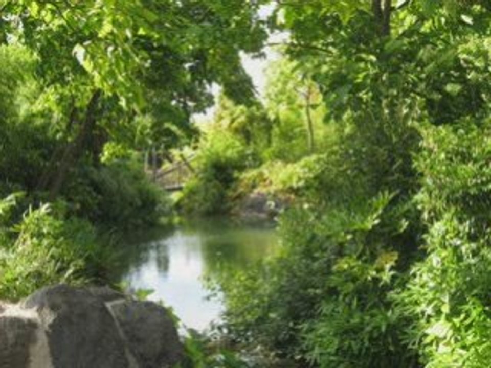 fanny, tif et math journée disneyland paris été 2008