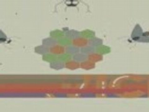 Starbucks - Grassroots Movement