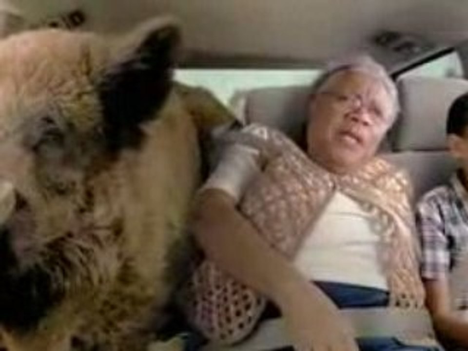 Pedigree Crazy Pets