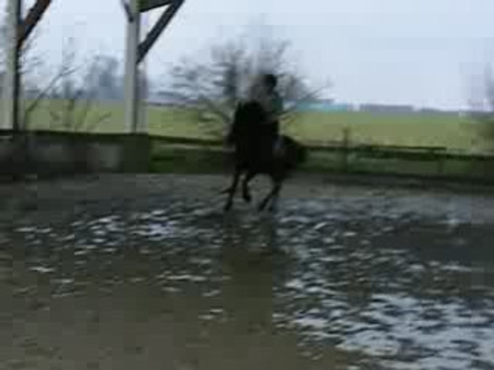 Le 29 janvier 2009