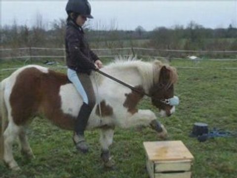 Méli-mélo-de-photo-et-vidéo