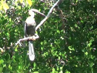 Sanibel Island, Florida