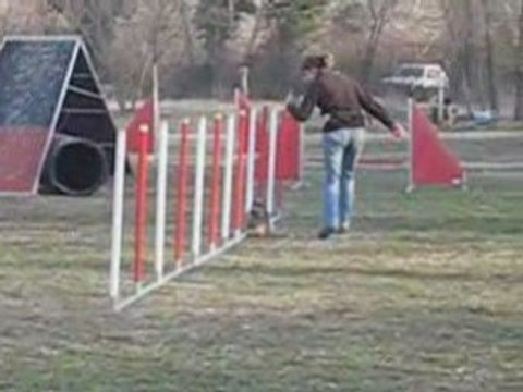 Biki en agility