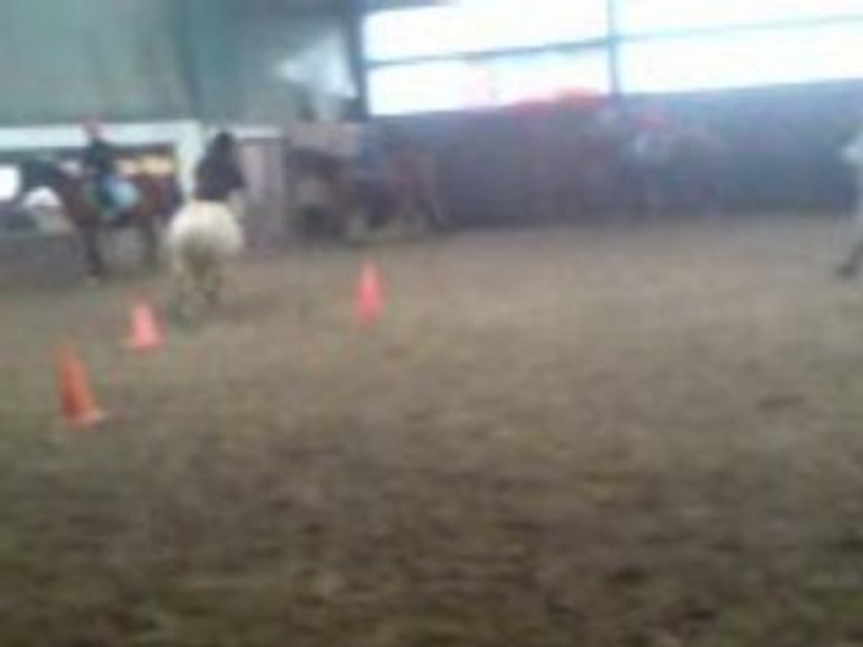 Bethoven & Elsa Parcours