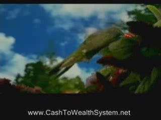 No More Alarm Clocks