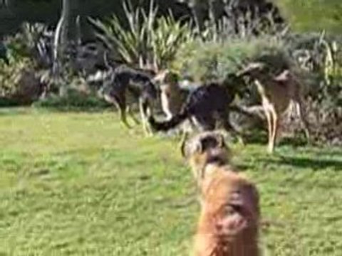 C'est l'hiver, on se réchauffe comme on peut !!!