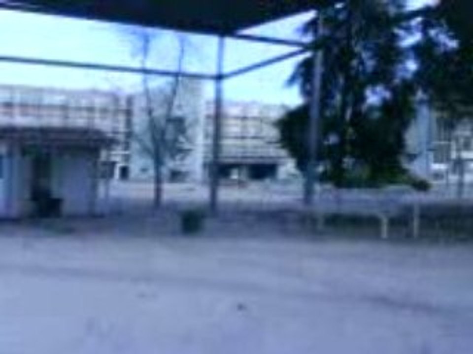 MOV00591