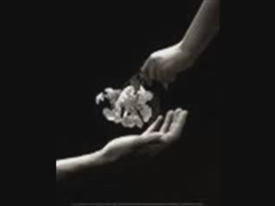 NAJET HATABOU - EL AÄYNE TEPKI