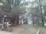 250 rmz-e tronc d'arbre