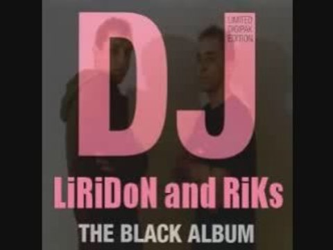 basshunter ( remixer par dj riks )