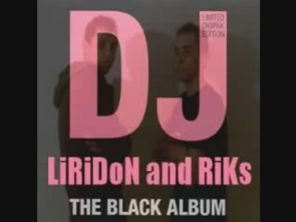 basshunter ( remixer par dj riks )