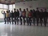 Danse Folk