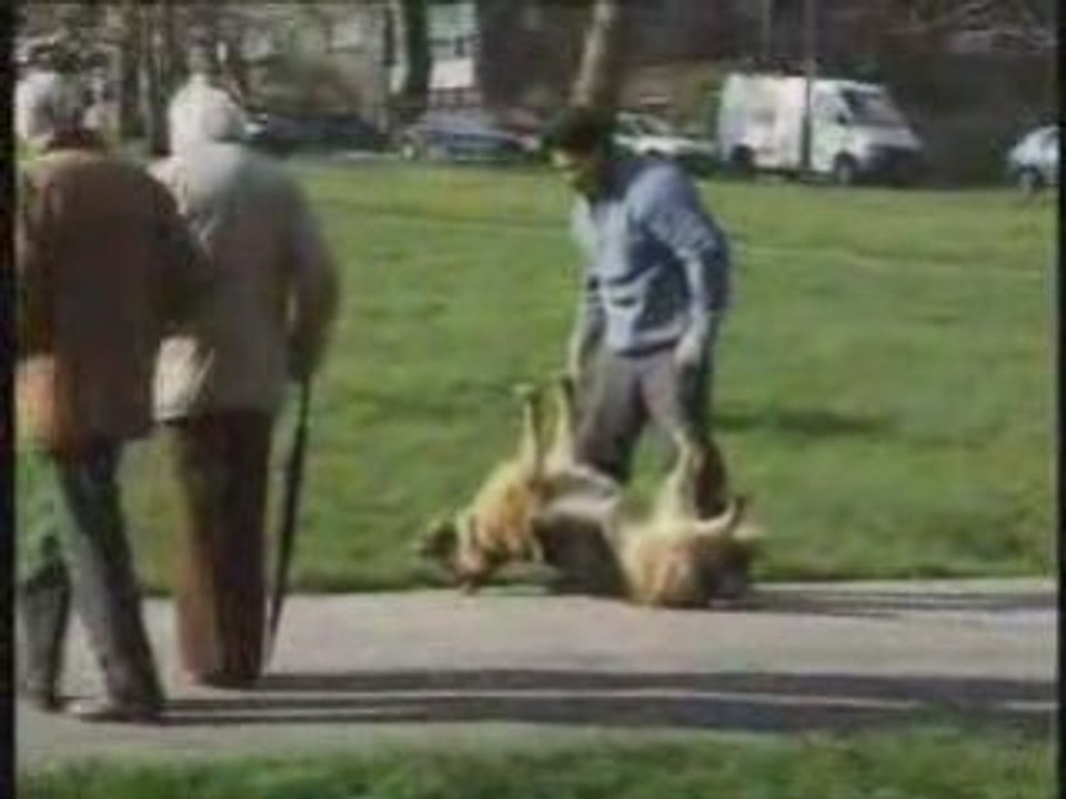 Sequence humour britannique