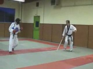 Hapkido : Ji Pang I Sool (techniques de canne)