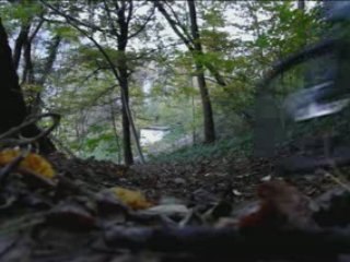 Mix saison de ride automne/hiver