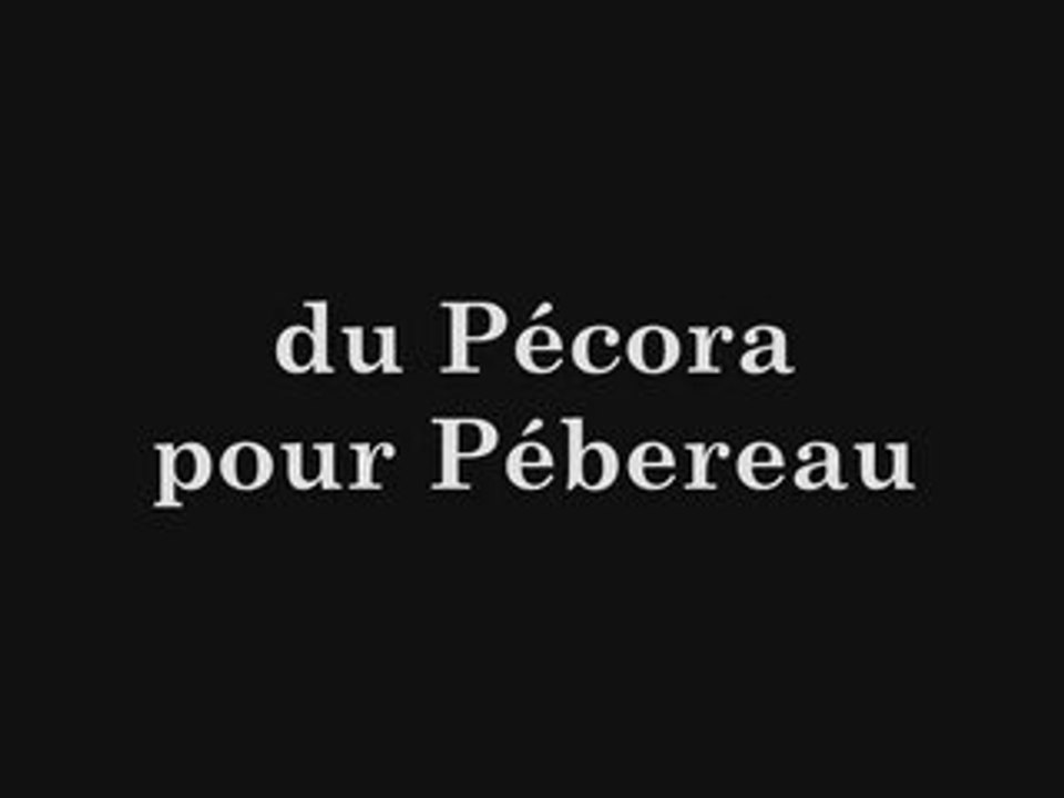 du Pecora pour Pebereau