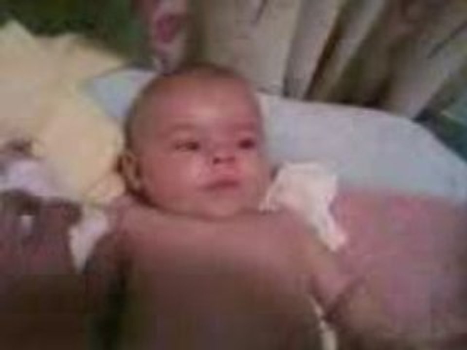 BB ENZO