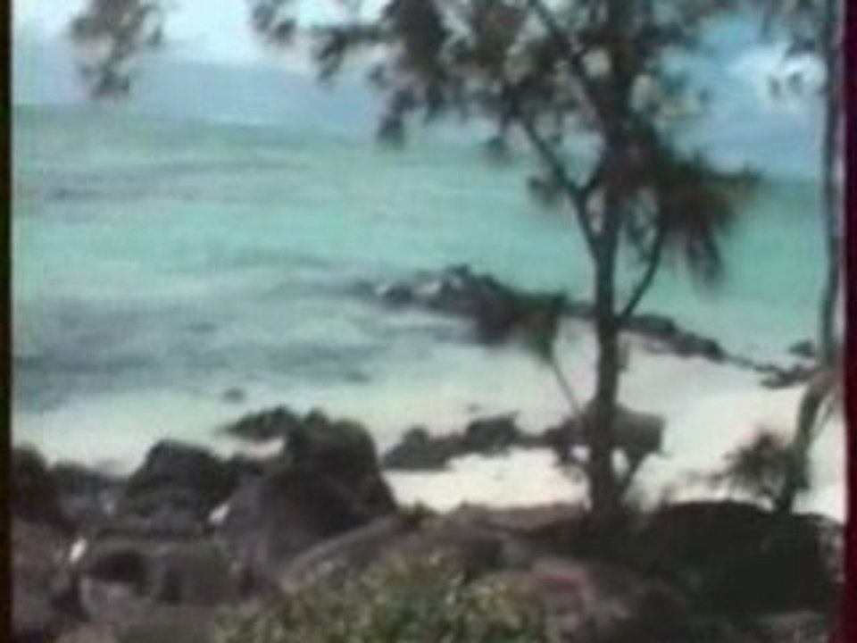 2001.03 ile maurice 2/5