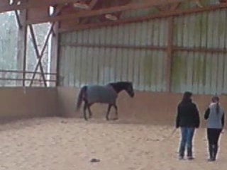 Enouk qui se défoule (au valembert)
