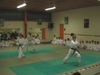 COC KARATE CABESTANY Demop4