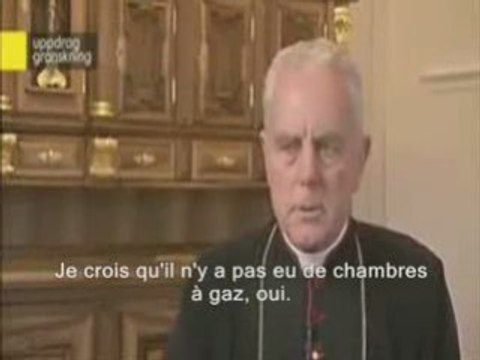 Richard Williamson Chambres à gaz fr